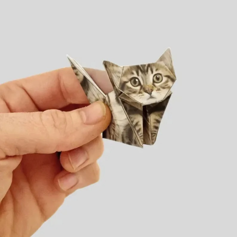Creative DIY Paper Cats 50 She - Art Craft Cat ulasan dan harga