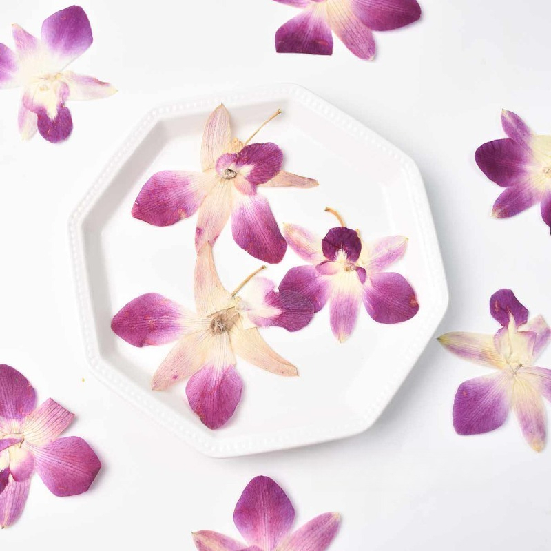 4pcs,Real Pressed Butterfly Or - Art Craft Butterfly ulasan dan harga