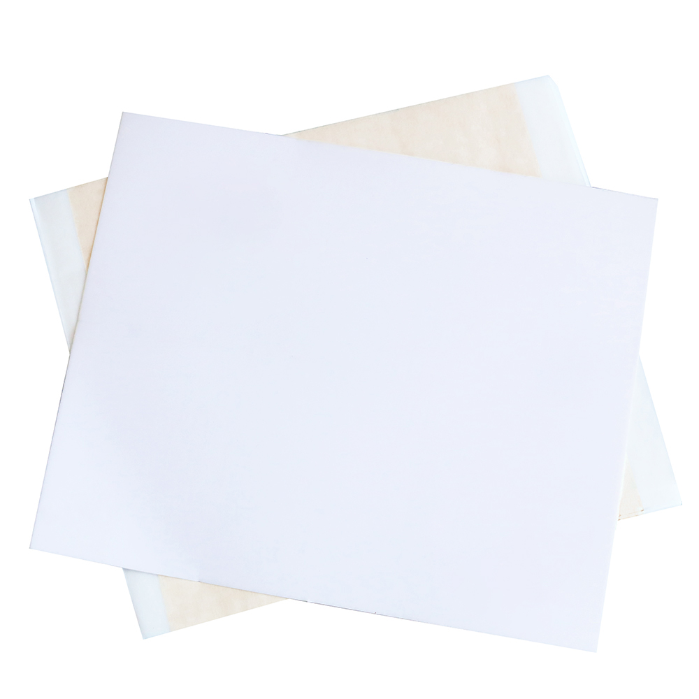 13x13.5cm Champagne Silver Foi - Art Craft Leaves ulasan dan harga