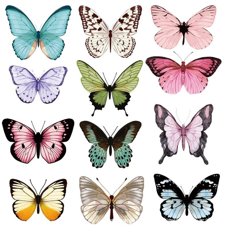 12pcs 3D Butterfly Wall Sticke - Art Craft New Year ulasan dan harga